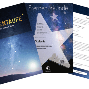 Vue du produit Basic