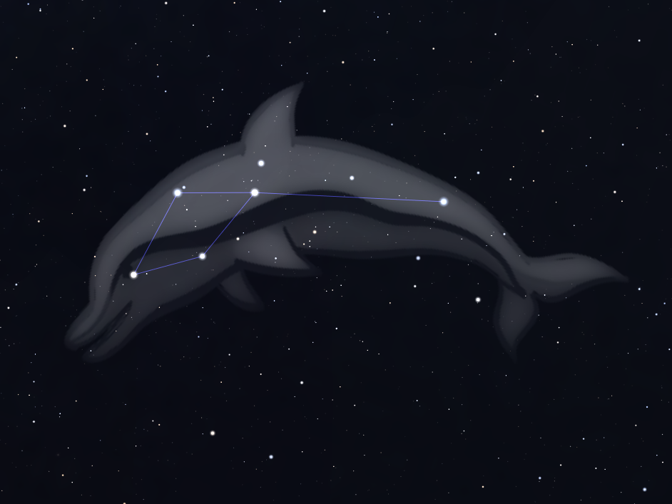 Constellation du Dauphin