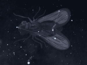 Constellation de la Mouche