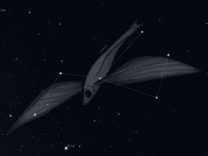 Constellation du Poisson Volant