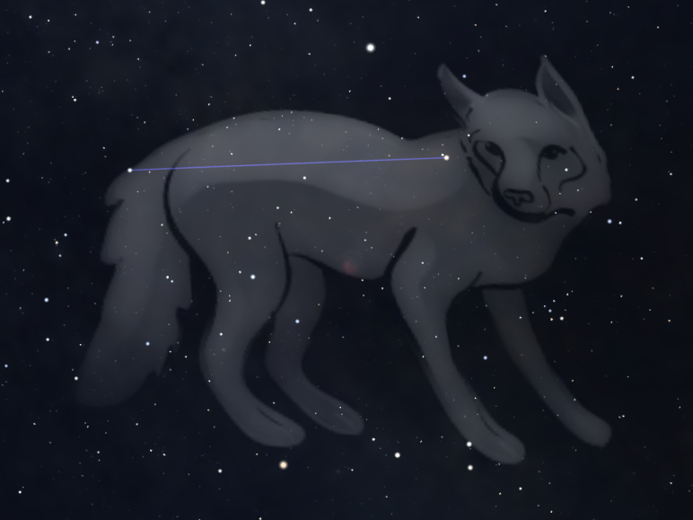 Constellation du Petit Renard