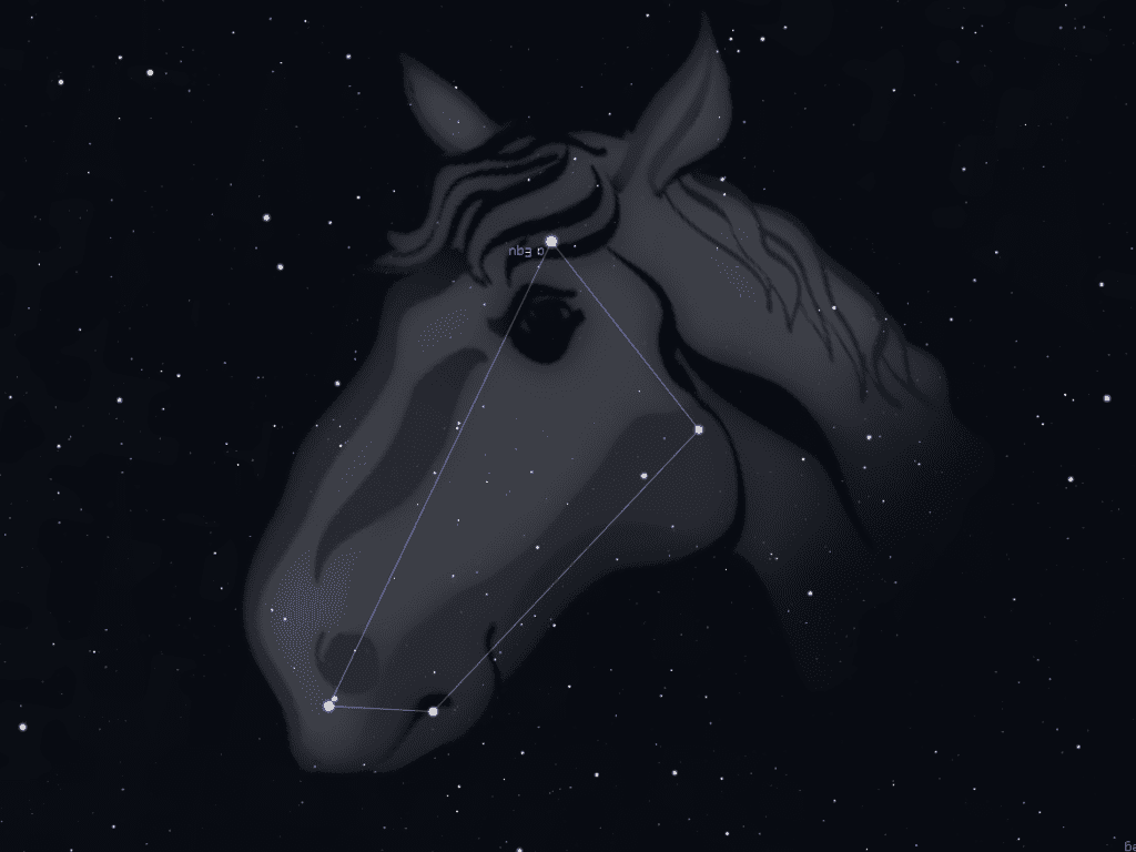 Constellation du Petit Cheval
