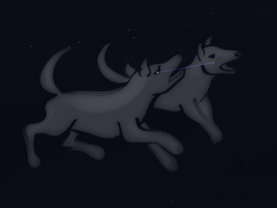 Constellation Chiens de chasse