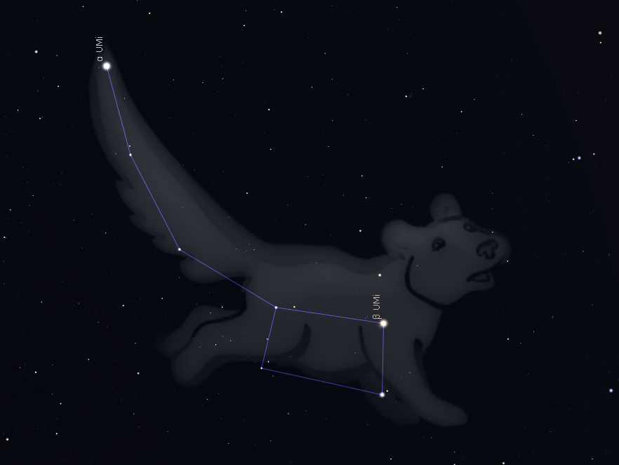 Constellation de la Petite Ourse