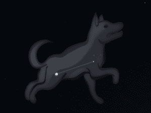 Constellation Petit Chien