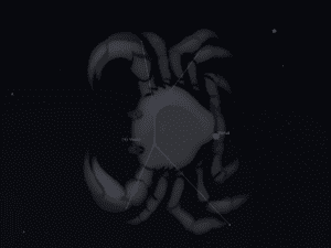 Constellation du Cancer
