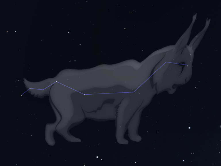 Constellation du Lynx
