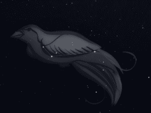 Constellation Apus