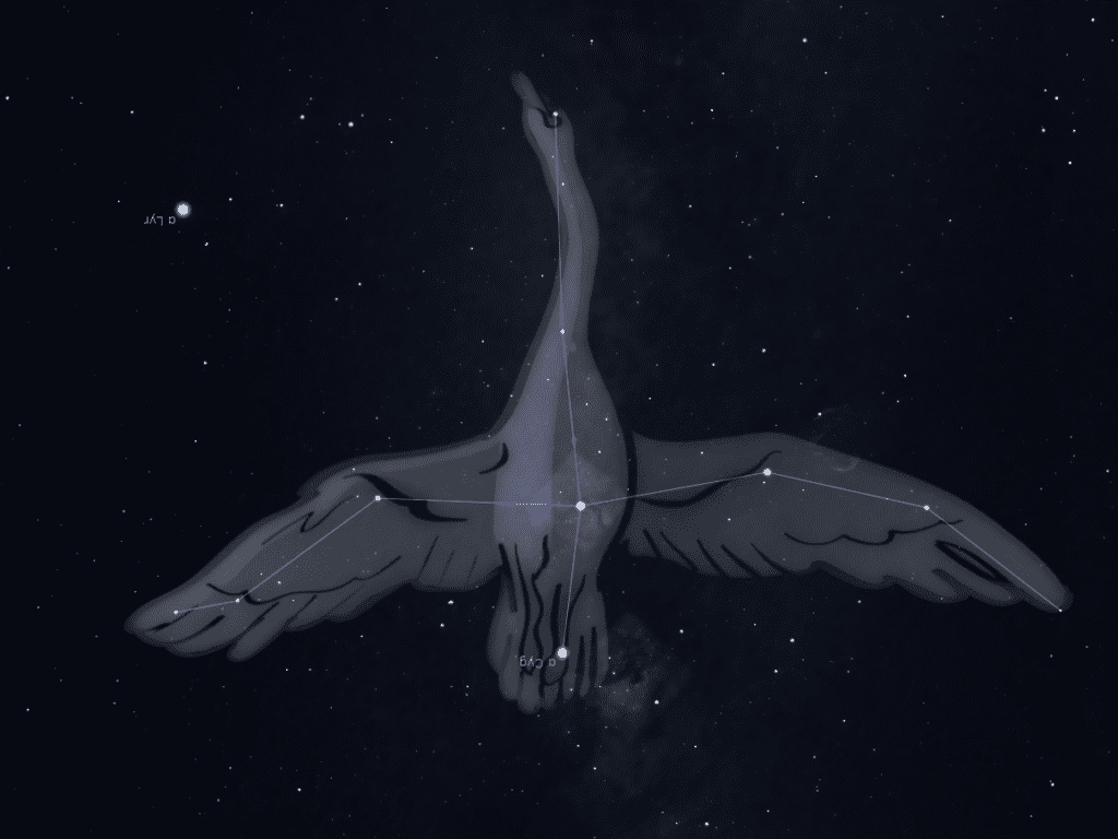 Constellation du Cygne