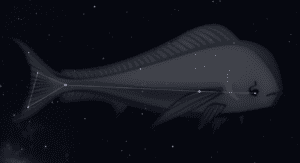 Constellation du Dorado