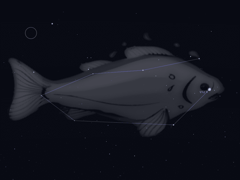 Constellation du Poisson austral
