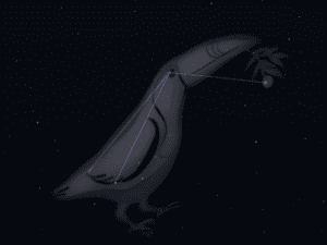 Constellation Toucan