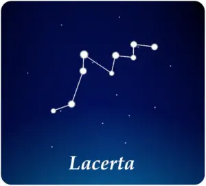 Constellation du Lézard